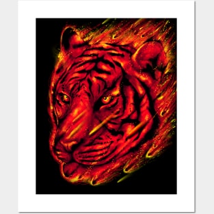 Tiger Ball Posters and Art